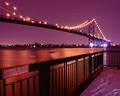 The Bridge