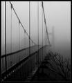 Silent Crossing