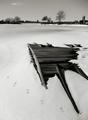holy in winter