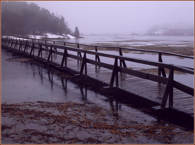 Winter Flood, Wellfleet  Uncle Tim's Bridge