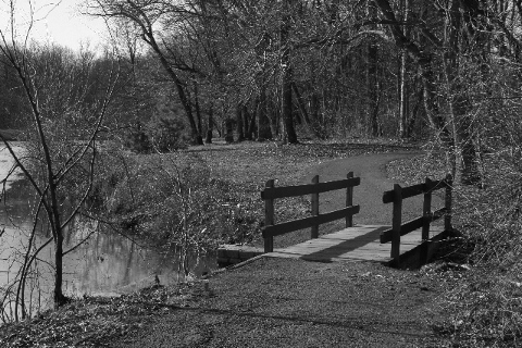 Footbridge by a pond