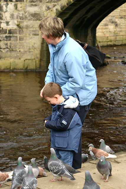   Birds and the Boy