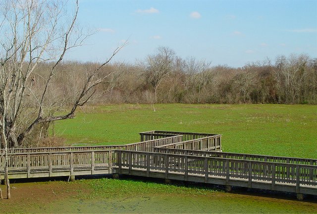 Marsh Footbridge