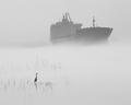 Waiting Out The Fog