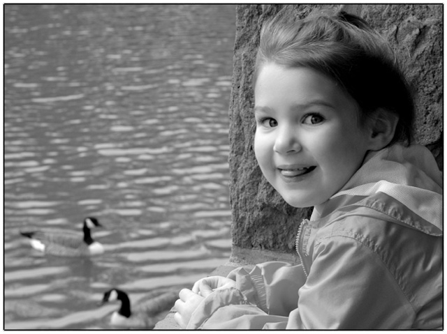 Feeding The Geese At The Park