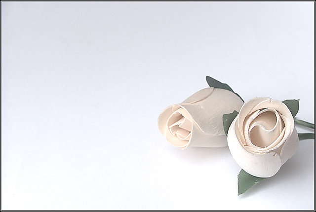 Paper Roses