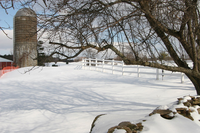 pale fence