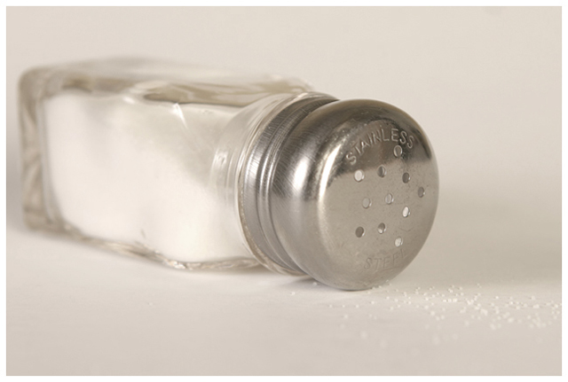 Salt Shaker