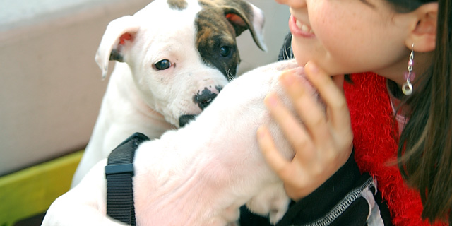 Smiles Are Contagious When You  Adopt A Pet