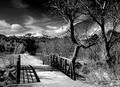 Pathway to Pikes Peak