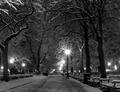 Snowy Night at Rittenhouse Square