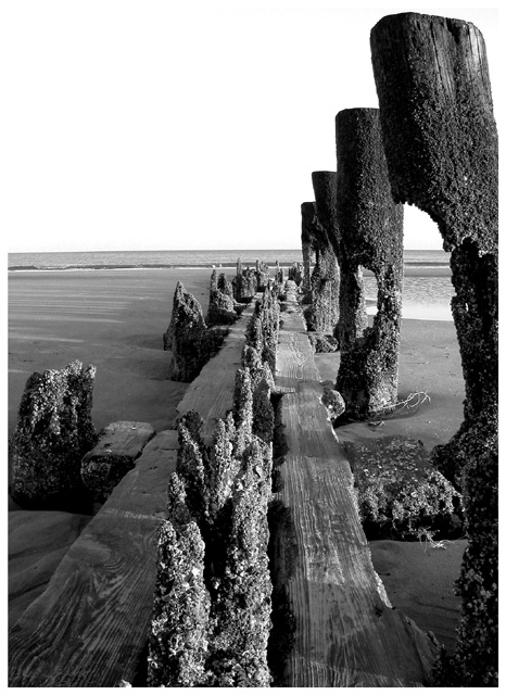 The Beach