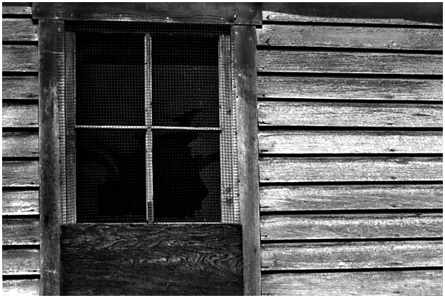 Rustic Window