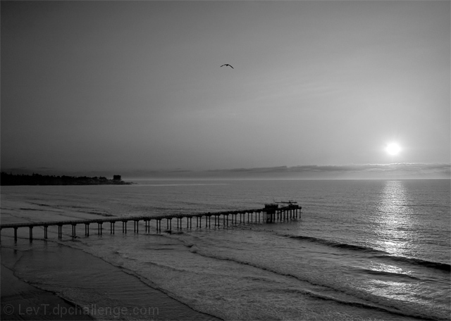 The Scripps Pier - 39 years later