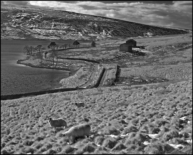 Widdop Moor