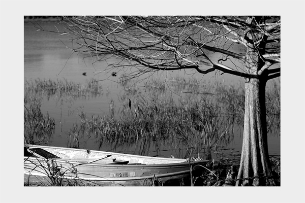 Fishing Boat in Morning Light