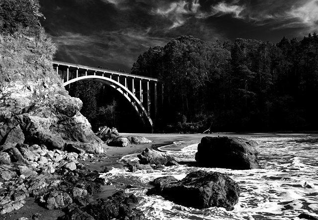 Mendocino Coast