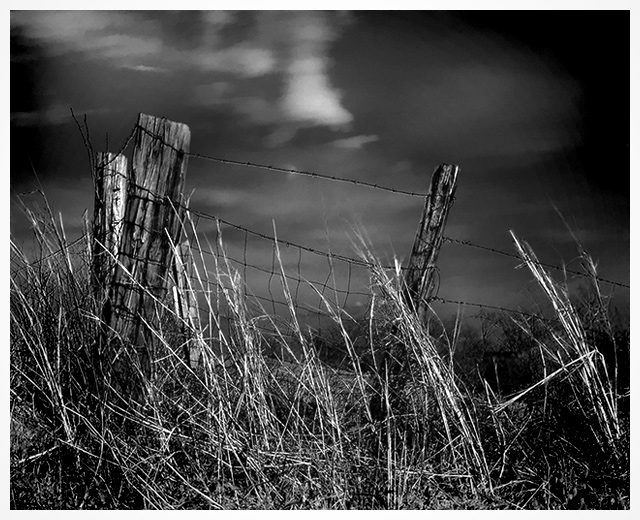 Country Fence