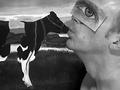 M(eye)lk