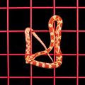 Snakes & Ladders