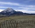 Fence Lines