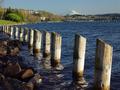 Coulon Park