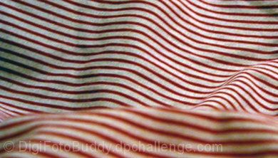 Fabric Texture