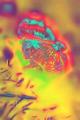 68_filters_filter_edited