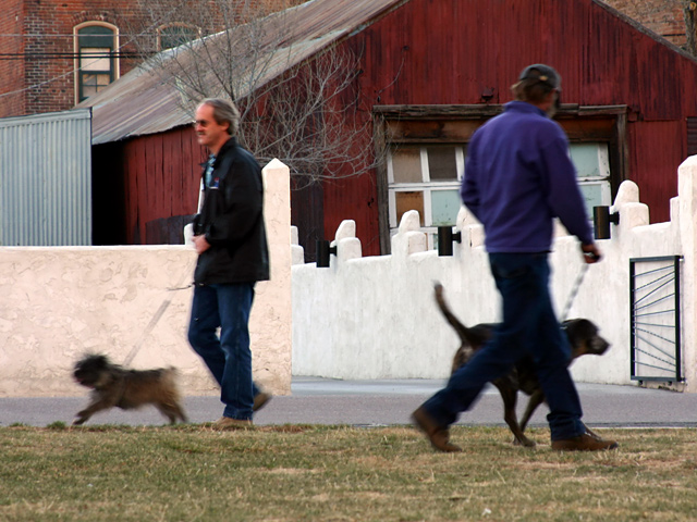 Guys and Dogs