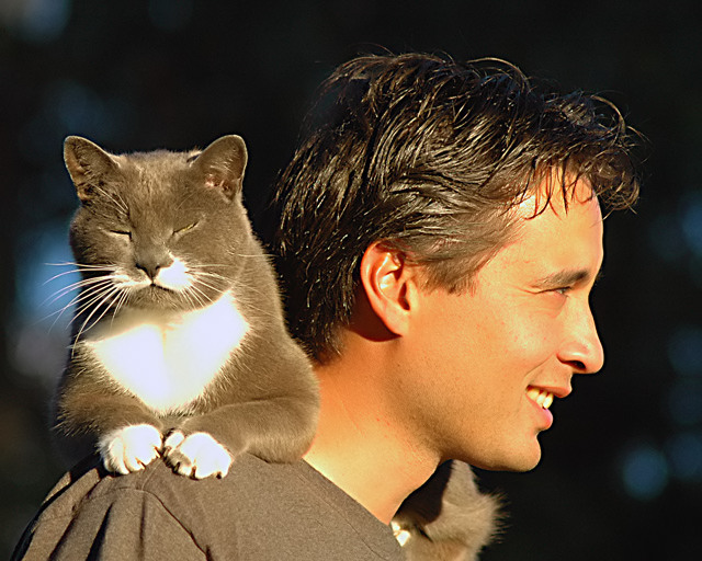Best friends in the afternoon sun.