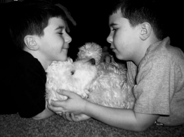 two boys plus dog=best friends