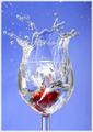 Cool and refeshing...