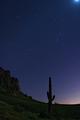 Sonoran Starlight