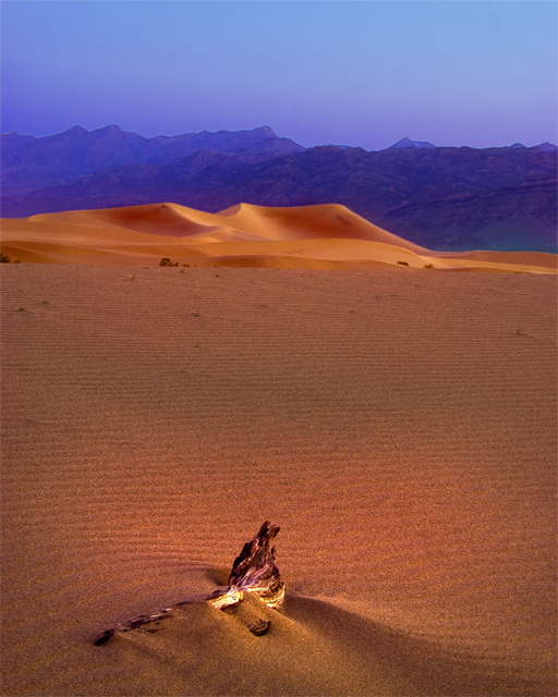 A Wind Blown Dawn At The Death Valley Sand Dunes