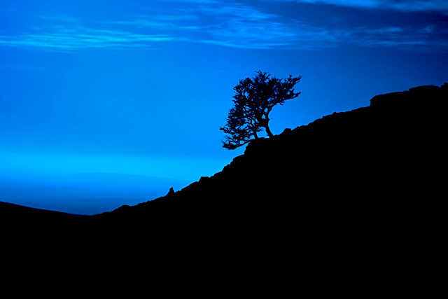 Valley Blue