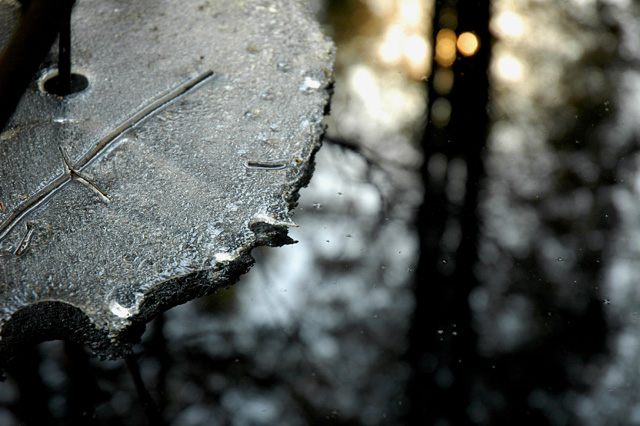 Spring Thaw