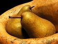 Boscs and Gourd