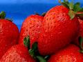 Fresh & Juicy