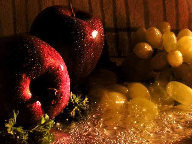 Still Life