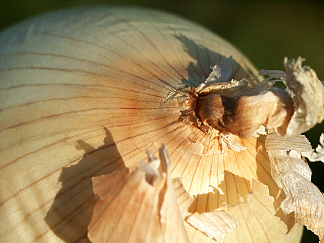 Onion Tectonics