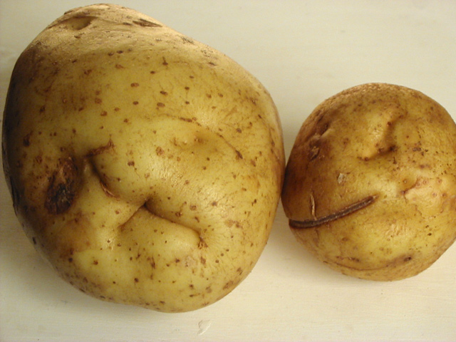 Mama and Baby Potatoheads