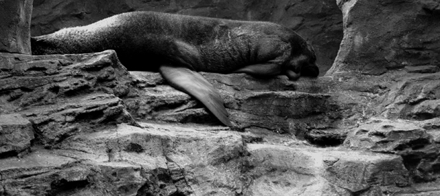 'The time has come,' the Walrus said, 'to talk of many things.'