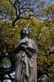 Angel of Pioneer Park Cemetery