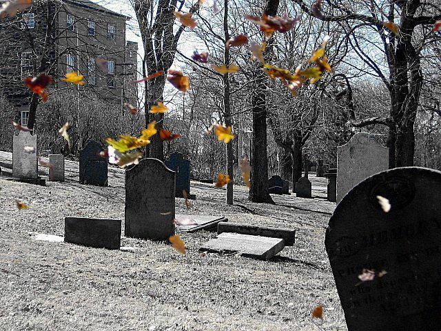 Founding Fathers - Loyalist Burial Ground 1784-1848