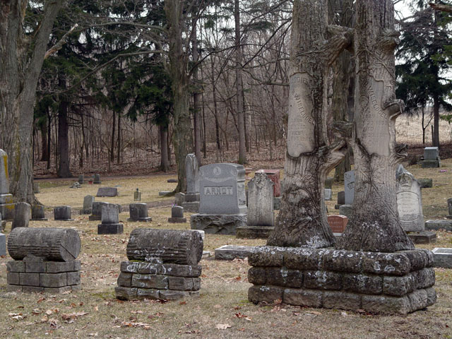STONE WOOD