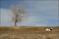 Foretaste of Spring