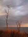 Mother Nature does the best Dodging & Burning