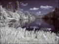 Lake Infrared