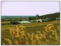 Springtime at the Farm