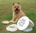 Let's Play Frisbee